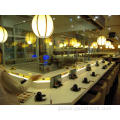 Kaiten Conveyor Belt Luminous Kaiten Conveyor Belt Supplier